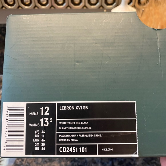 Nike Lebron xvi sb black n white shoes